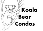 My Gallery: Koala Bear